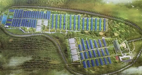 銅川市印臺(tái)區(qū)生豬養(yǎng)殖基地建設(shè)項(xiàng)目