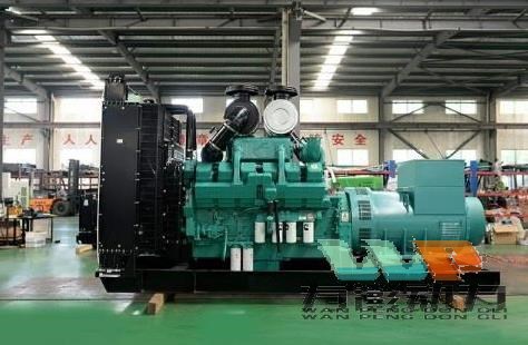 如何對發(fā)電機組防雷保護和長期停運的保養(yǎng)？